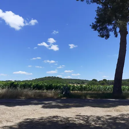 Location Grande Maison *